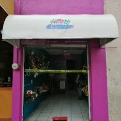 Florería Astromelia