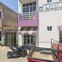 Florería Astromelia