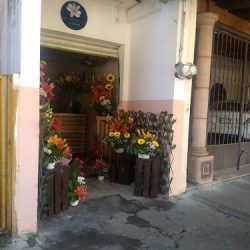 Florería Astromelia
