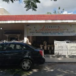 FlorerÍa Astromelia