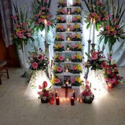 Florería Astromeria