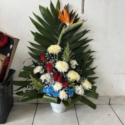 Floreria Astros