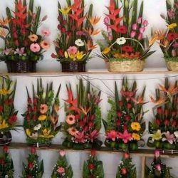 FlorerÍa Atequisa