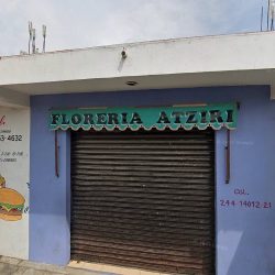 Floreria Atziri