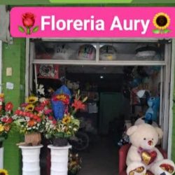 Floreria Aury