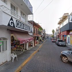 Florería Ave De Paraíso