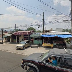 Florería Ave De Paraiso