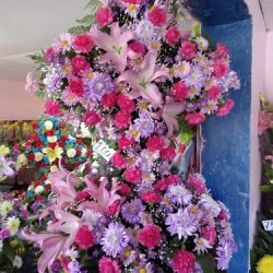 Floreria Ave De Paraiso La Esquina