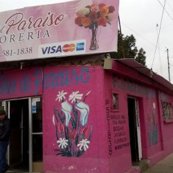 Floreria Ave Del Paraiso