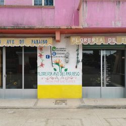 Florería Ave Del Paraiso