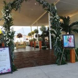 Florería Ave Del Paraíso
