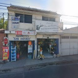 Floreria Ave Del Paraiso