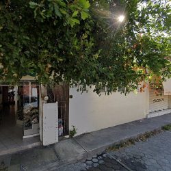 Floreria Ave Del Paraíso