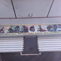 Floreria Ave Del Paraíso