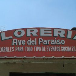 Florería Ave Del Paraiso
