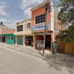 Florería Ave Del Paraiso