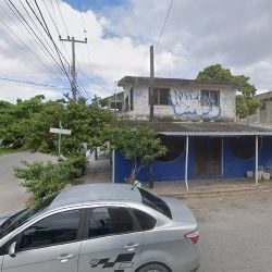 Florería Ave Del Paraíso