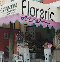 Florería Ave Del Paraiso