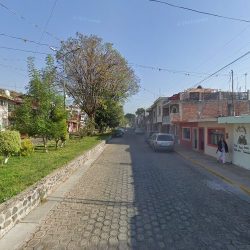Florería Ave Del Paraiso