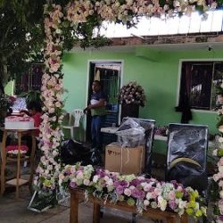 Floreria Ave Del Paraiso Vargas
