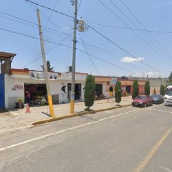Florería Ave Fénix