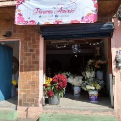 Floreria Axixic