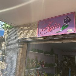 Florería Aylin
