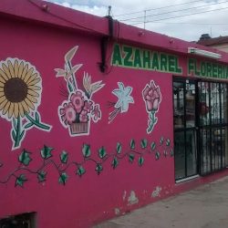 FlorerÍa Azaharel