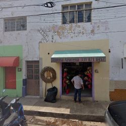 Floreria Azucena