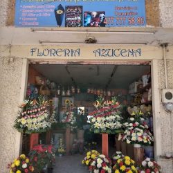 Florería Azucena