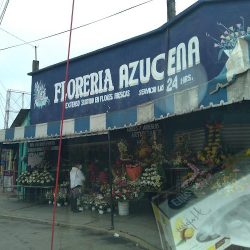 Floreria "azucena"