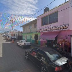 Floreria Azucena