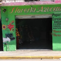 Florería Azucena, San José