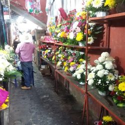 Florería Azucena Taxco