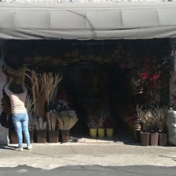 Florería Bambú