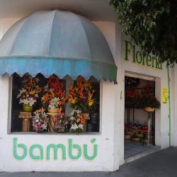Florería Bambú