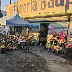 Floreria Baupal