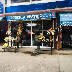 Floreria Beatriz