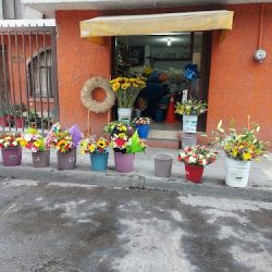 Floreria Beatriz Slp