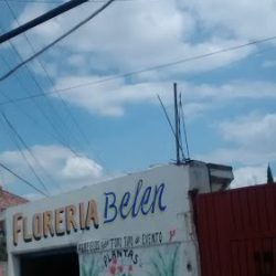 "floreria Belen"