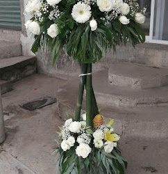 Florería Bella Flor