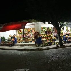 Floreria Bella Rosa