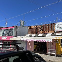 Florería “bellandy”