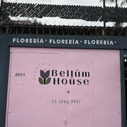Florería Bellum House