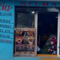 Florería Belmar Zacualtipán