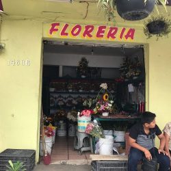 Floreria Beto