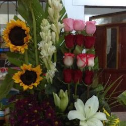 Floreria Betty