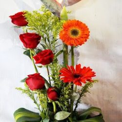 Florería Blanquita