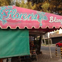 Florería Blanquita