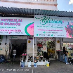Floreria Blossom (puesto 6)